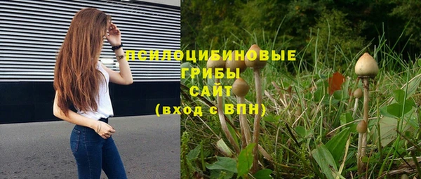 герыч Вязьма