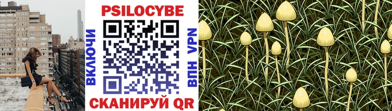 Галлюциногенные грибы Magic Shrooms  Купить где  Ленинск 